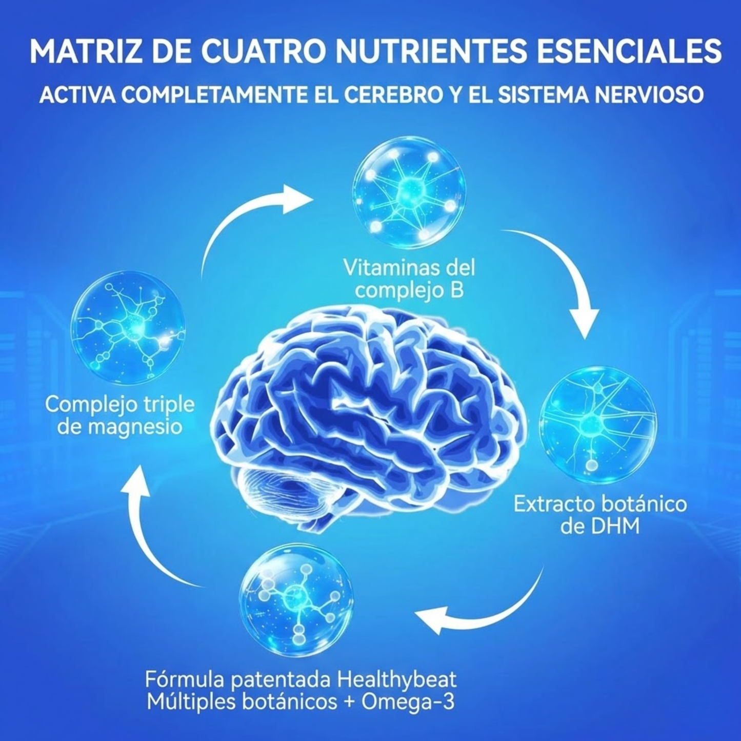 Suplemento para Memoria, Enfoque y Claridad