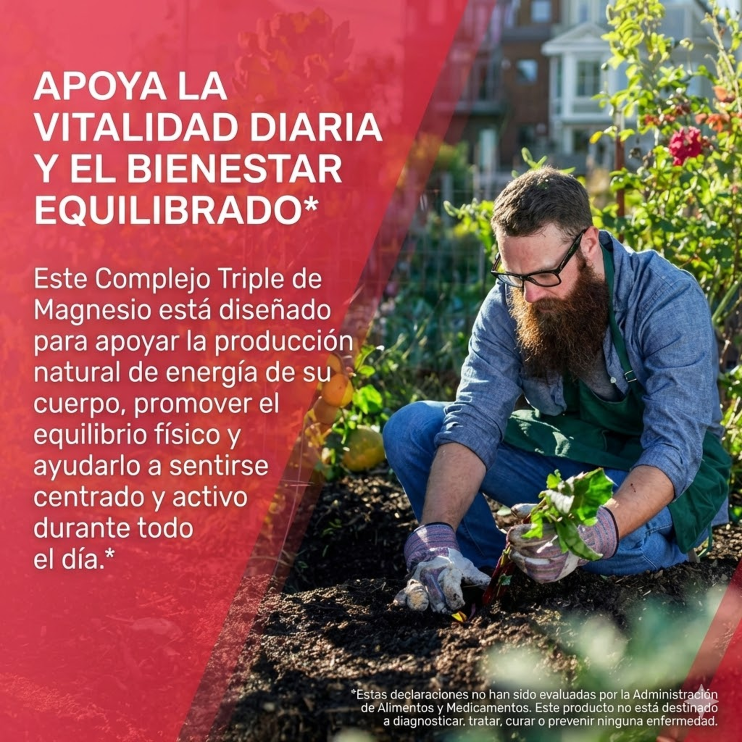 Pura Raíz Triple Complejo de Magnesio